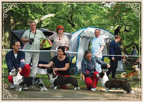 Breeding Group Winners