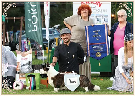 Winners of the Club Shows